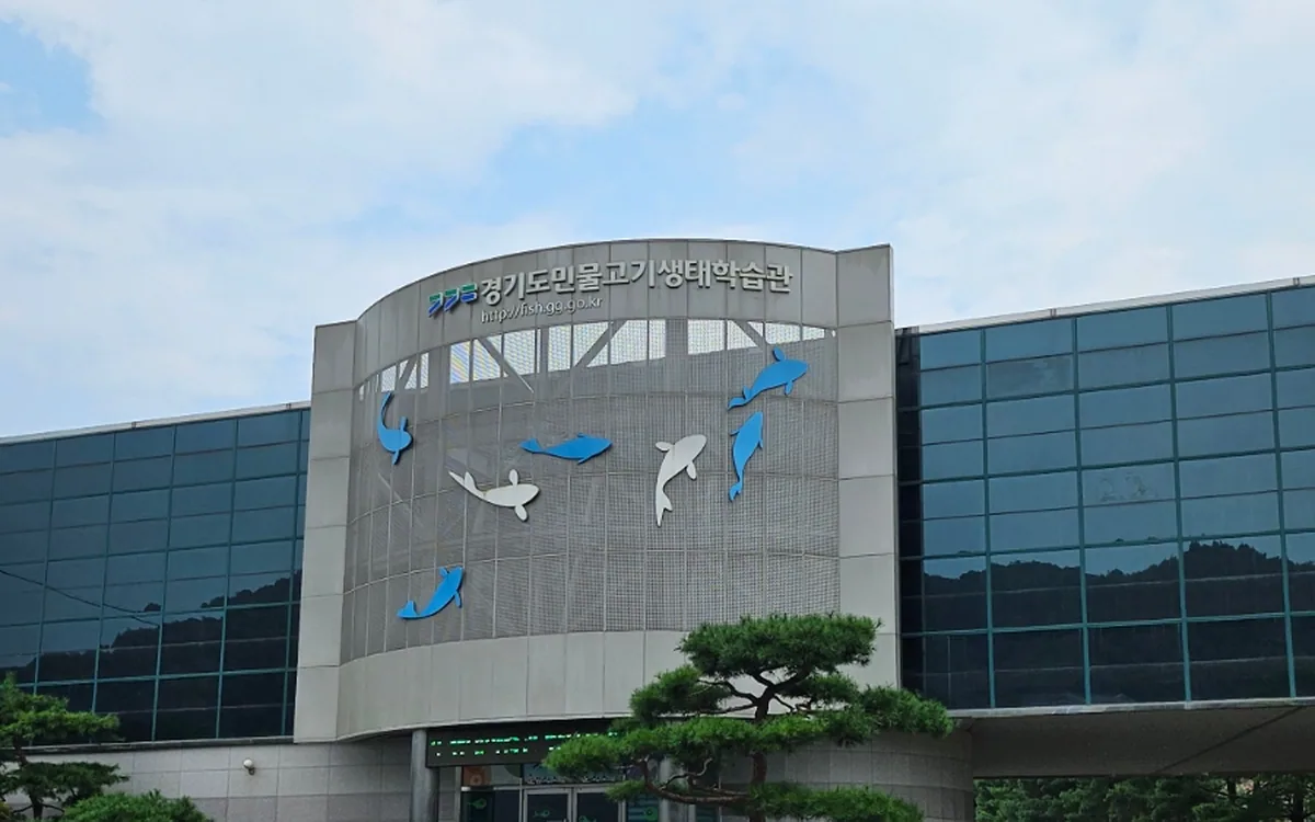 경기도민물고기생태학습관 체험 현장